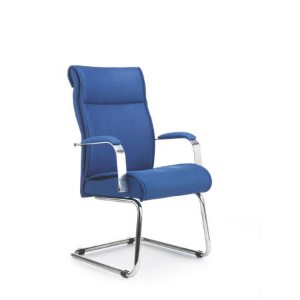 Trendy Misafir Koltuğu Krom Ayak